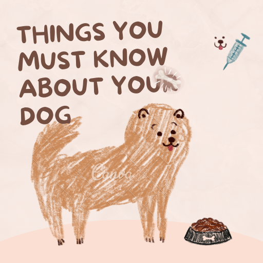 Facts To Know About Your Dog