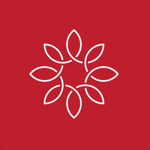 WIT Daily logo