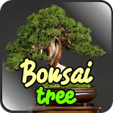 Bonsai tree garden icon