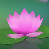 Learn to Meditate 5 Wk Course icon