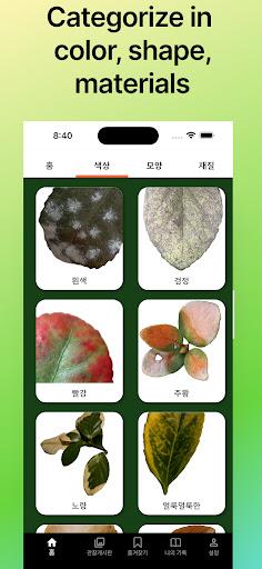 Leaf Exploration Screen 2