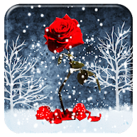 Red Rose Heart APUS Live Wallpaper