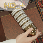 Room 50 - HD Plus