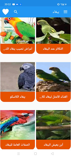 Android application ببغاء screenshort
