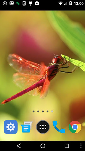 dragonfly wallpaper Screen 2