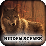 Hidden Scenes - Free Beautiful Wolves Puzzle Game icon