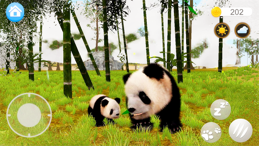 Talking Pandas Screen 3