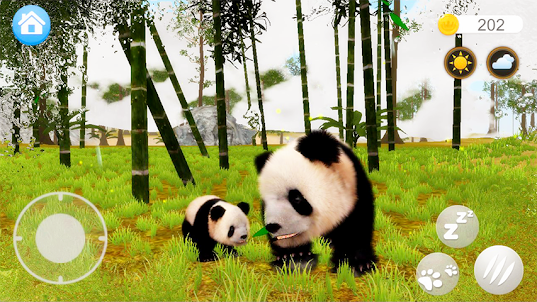 Talking Pandas