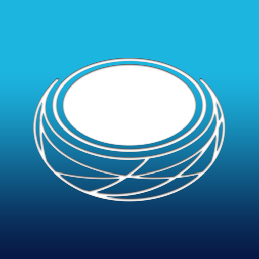Kleverness logo