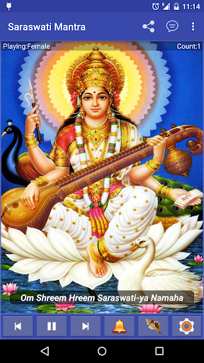 Maa Saraswati Mantra Screen 2