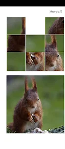 My squirrel Puzzle 2