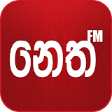 Neth FM News - Sri Lanka icon
