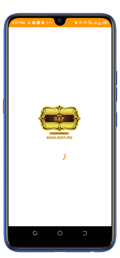 BAP Application Screen 2