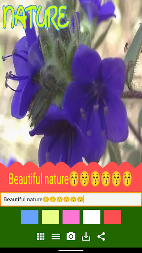 Nature Screen 3