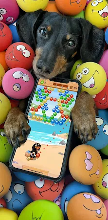 Game screenshot Crusoe Squeaky Ball Bubble POP mod apk
