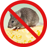 Anti Rat Repeller - Mouse icon