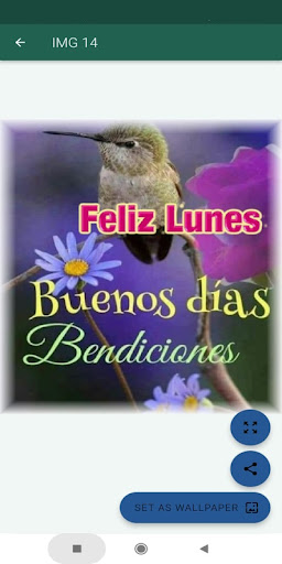 Android application Saludos Días de la Semana screenshort