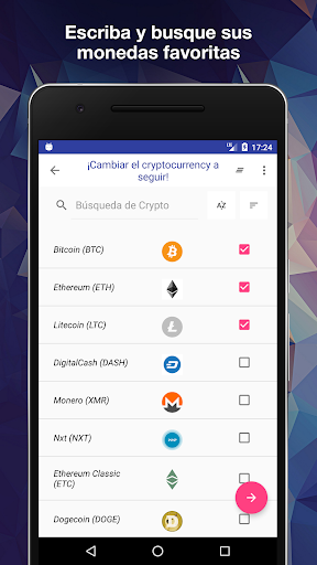 Vista previa de la aplicación