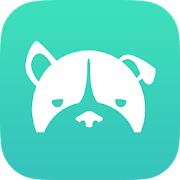 Dogiz: Dog Walking Services