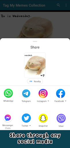 Tag My Memes Collection