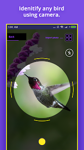 Bird Identifier Screenshot