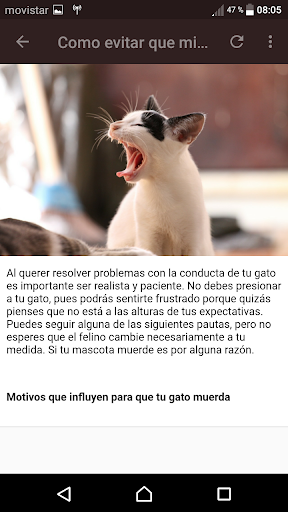 Guía para gatos