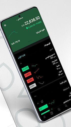 BSF Capital Tadawul Screen 3