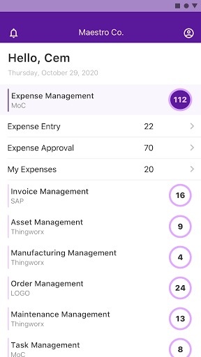 Maestro - Process Management Screen 3