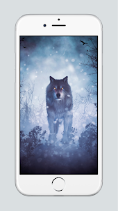 Wolf Wallpaper 4k