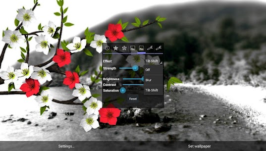 Spring Flowers 3D Parallax Pro MOD APK (مصححة) 5