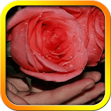 3D Flowers Live Wallpapers icon