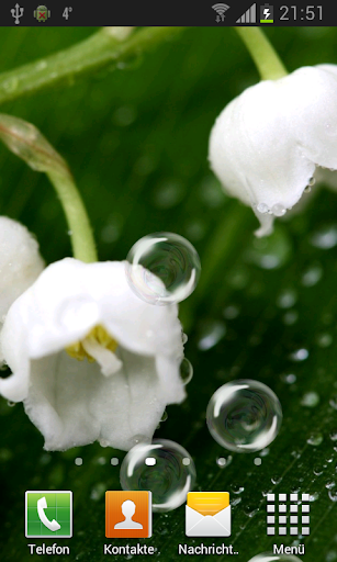 May-lily Live Wallpaper Screen 2