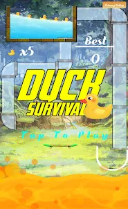 Cute Duck Survival Game