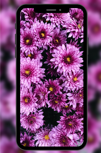 Fondos de Pantalla con Flores
