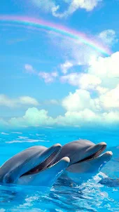 Wallpapers Dolphins and Sharks