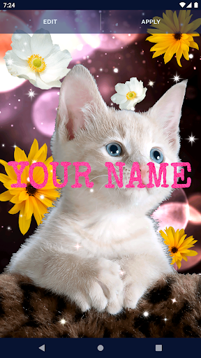 Cute Cats Live Wallpaper Screen 2