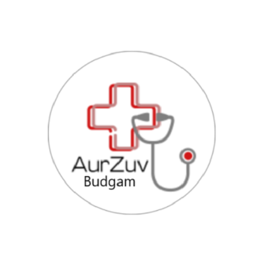 AurZuv Budgam logo