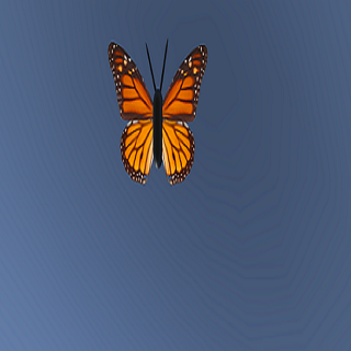 HupsRups Screen 2
