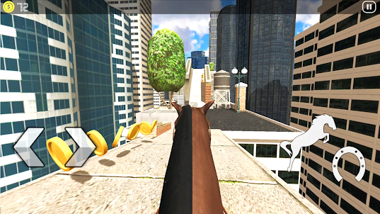 Horse Riding Rooftop