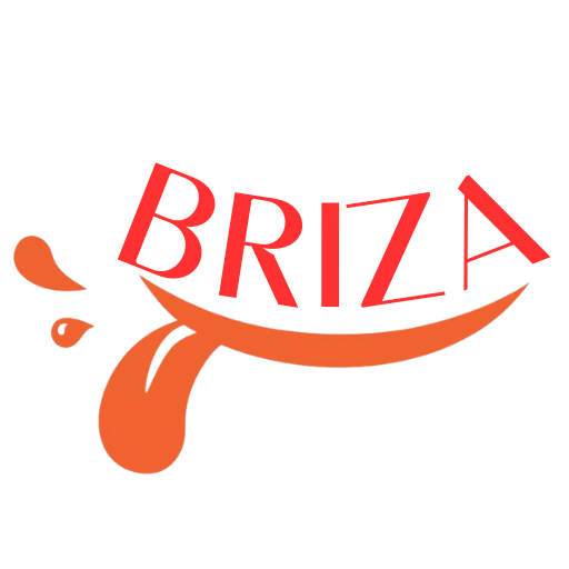 BRIZA logo