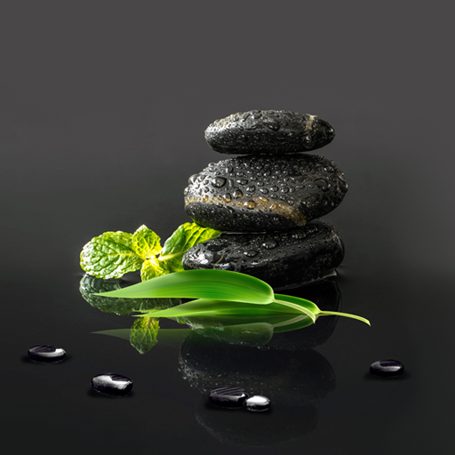 Garden Zen Live Wallpaper Apper Pa Google Play