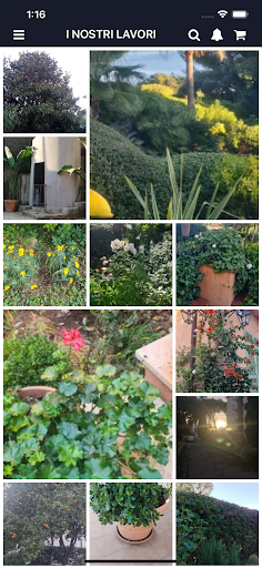 G.B. Giardini Camporosso