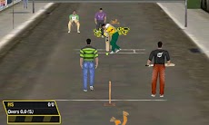Street Cricketのおすすめ画像3