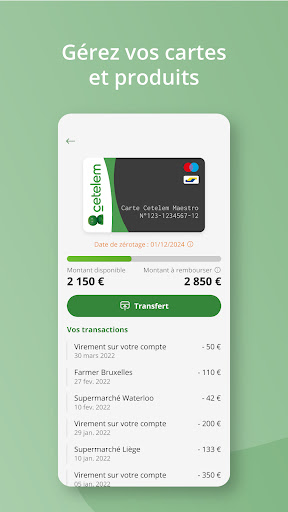 Cetelem – AlphaCredit Screen 2