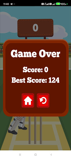 Pro Cricket Champion