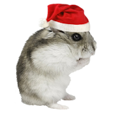 Christmas Hamster Sticker icon