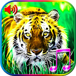 Cover Image of Download 3D Animals Sounds & Wallpapers 1.4 APK