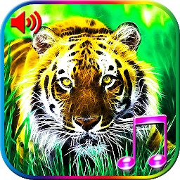 Icon image 3D Animals Sounds & Wallpapers