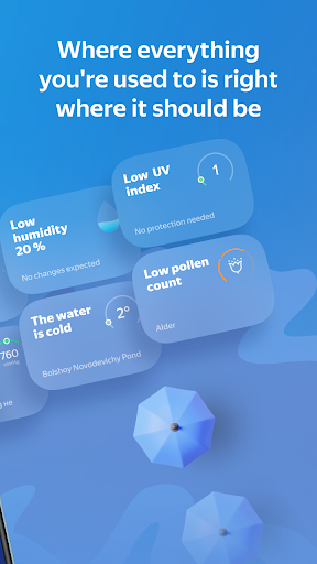 Yandex Weather & Rain Radar 2