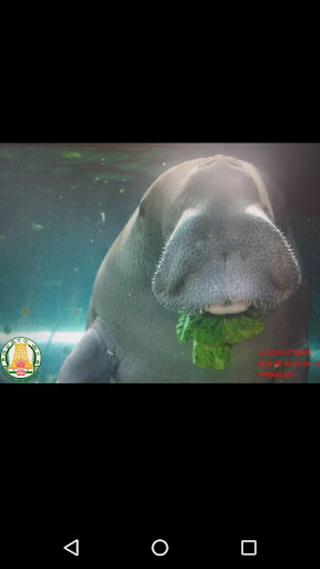 Save Dugong Screen 3